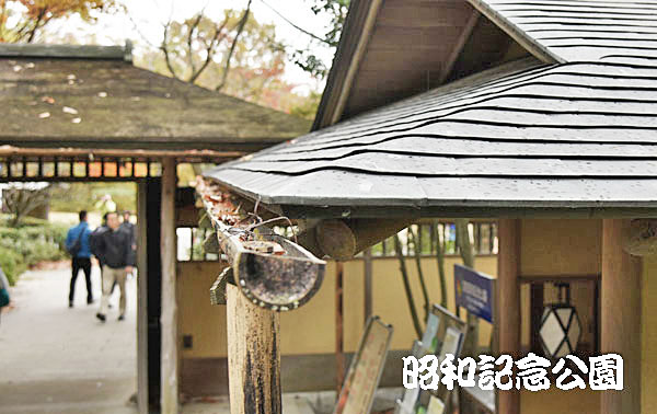 昭和記念公園