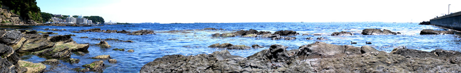 三浦市